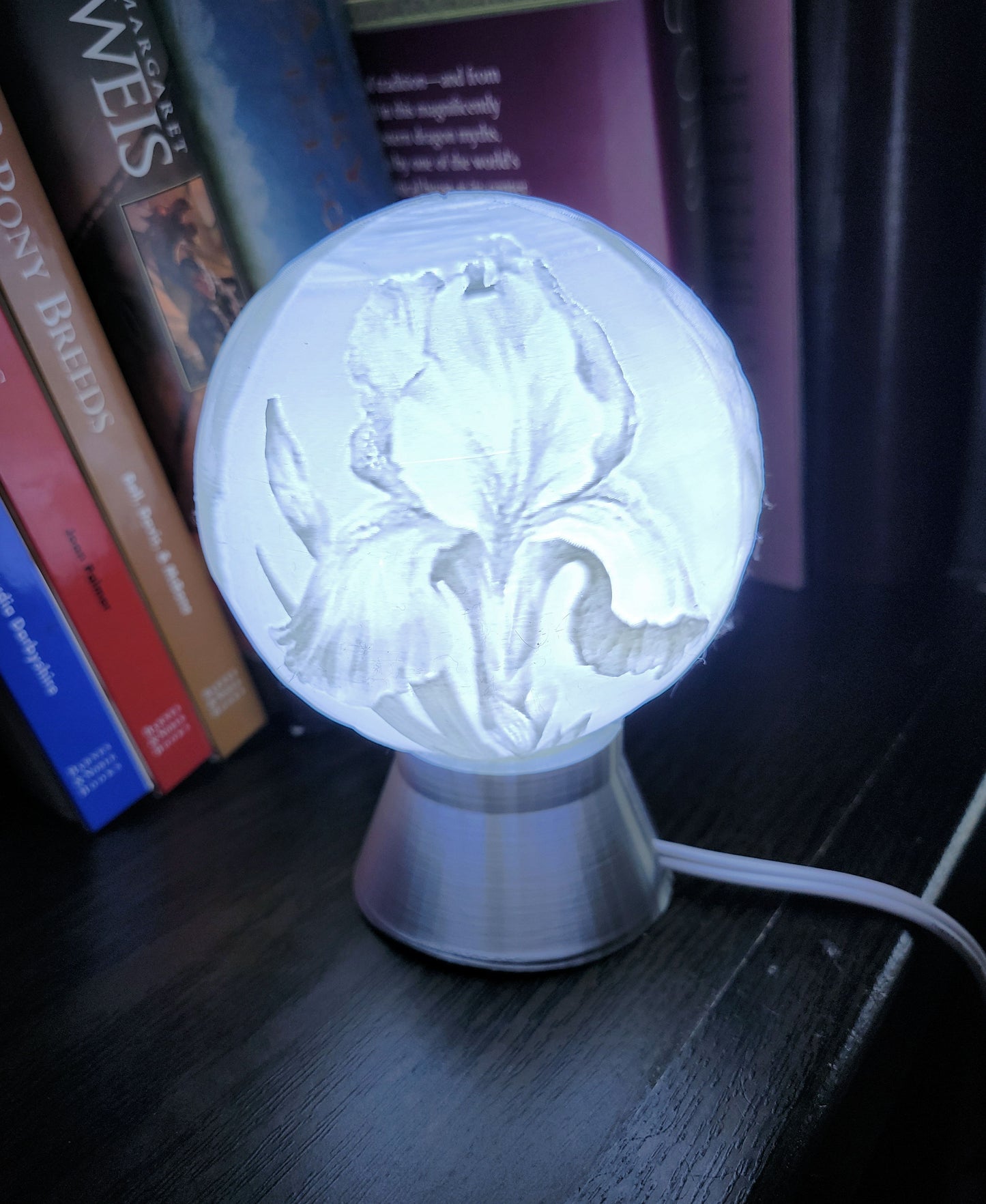 February Birth Month Flower Light Globe- Iris, Violet