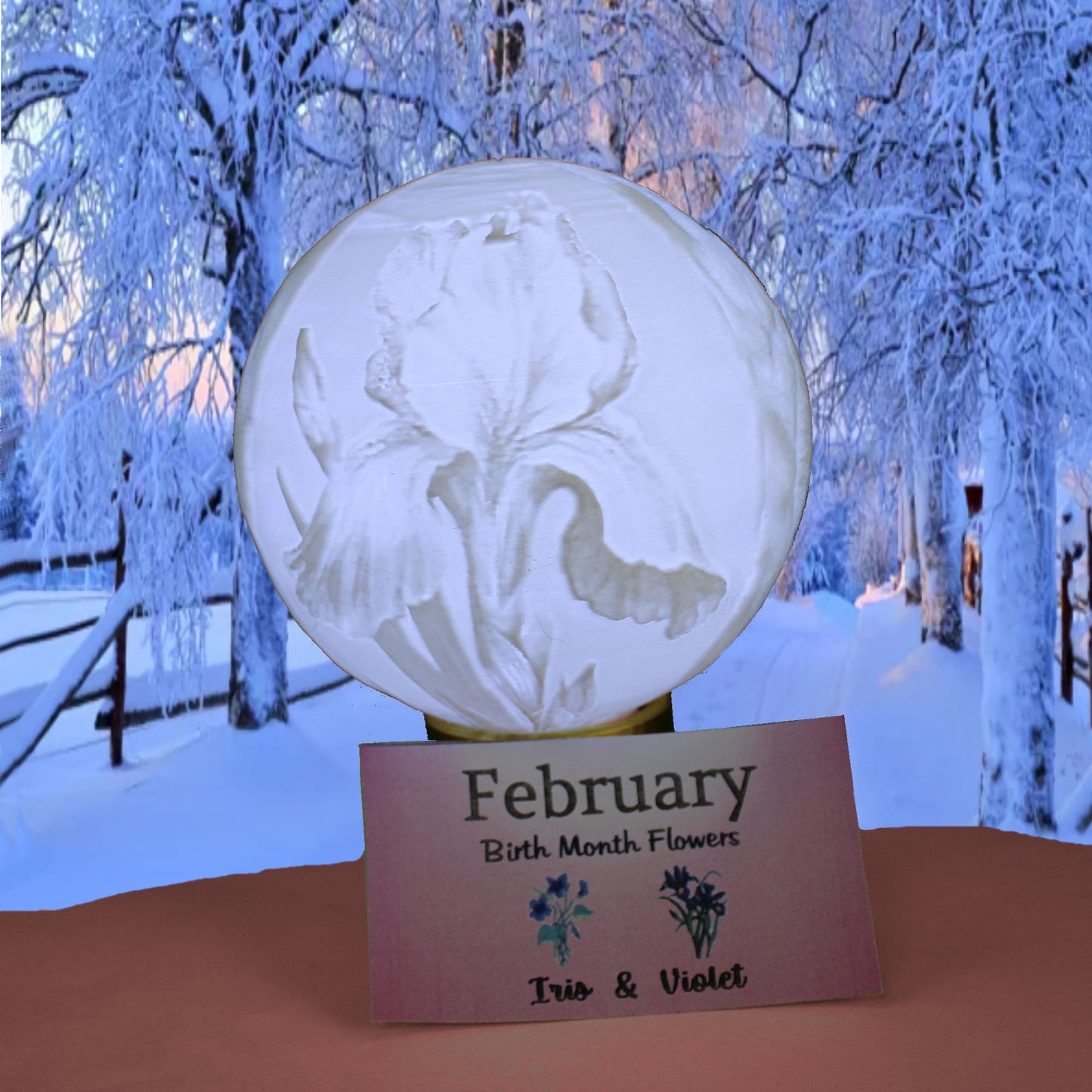 February Birth Month Flower Light Globe- Iris, Violet