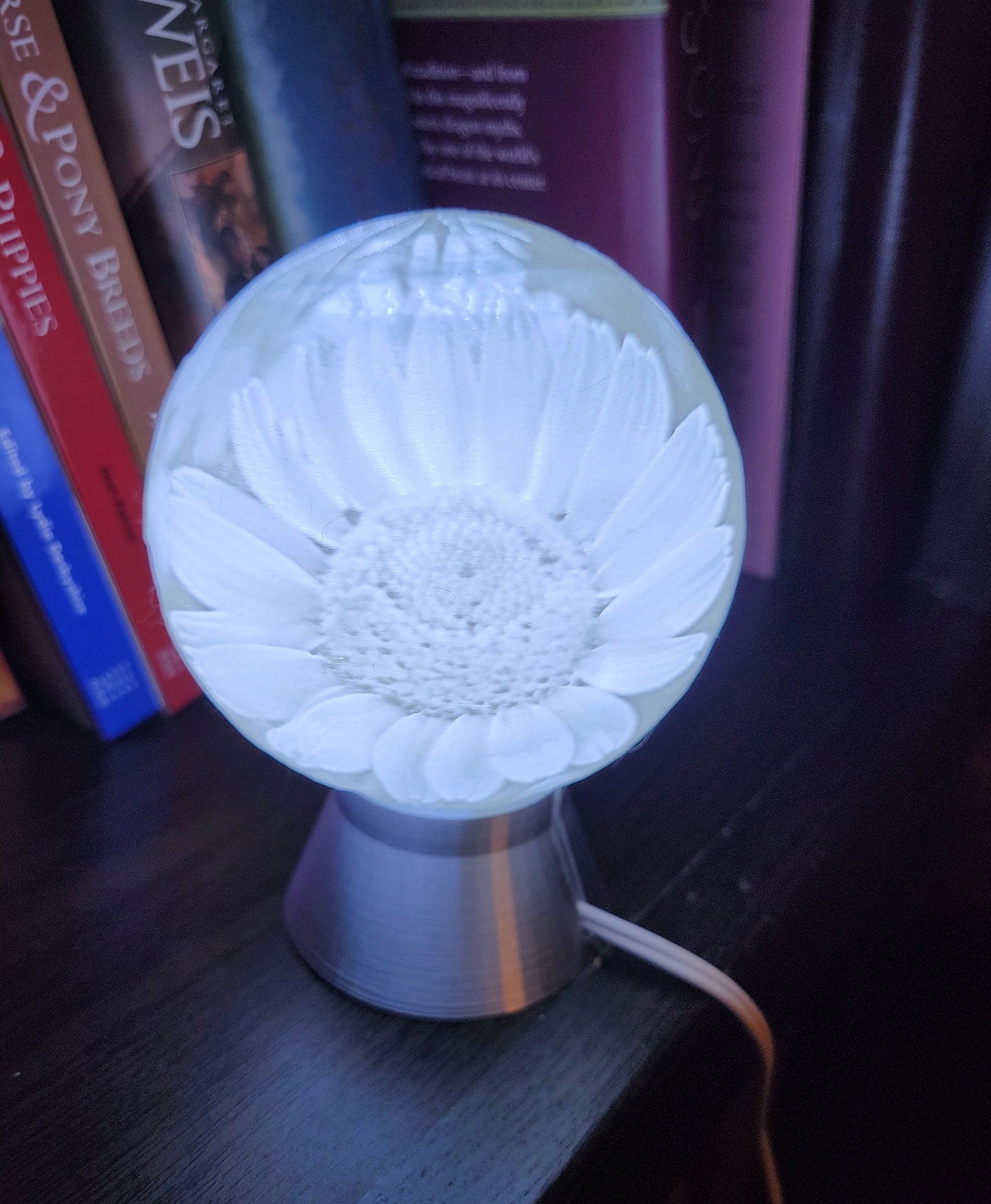 April Birth Month Flower Light Globe - Daisy , Tulip