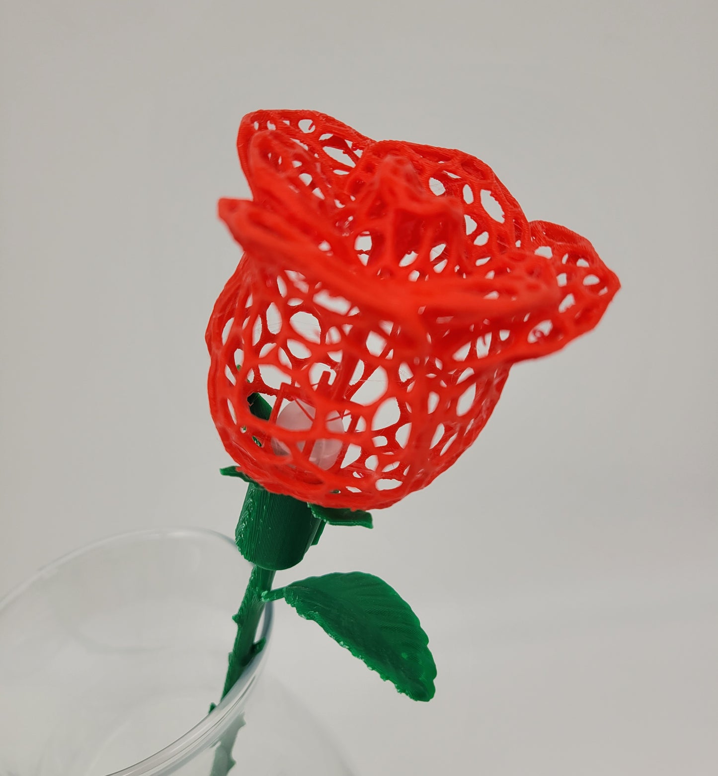 Rose, Intricate Illuminated