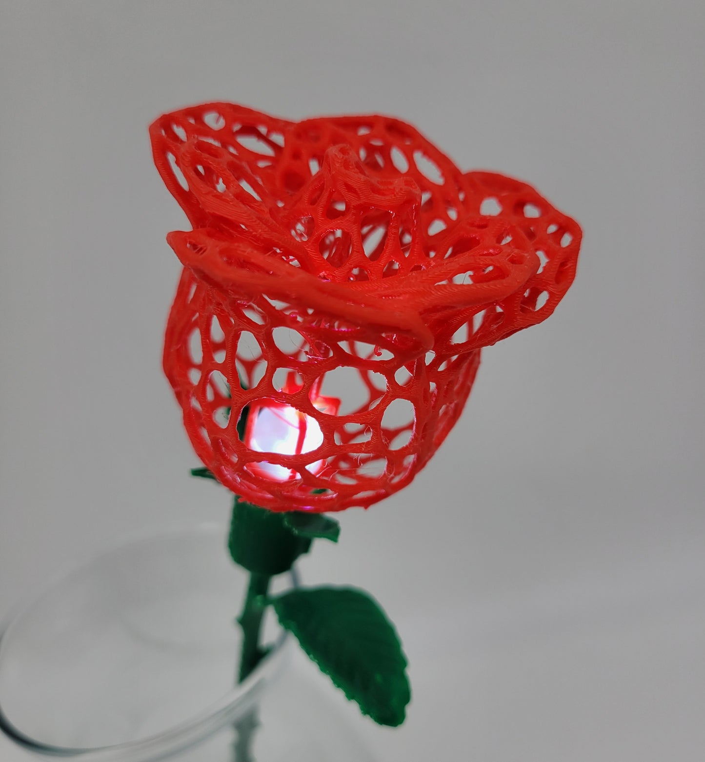 Rose, Intricate Illuminated