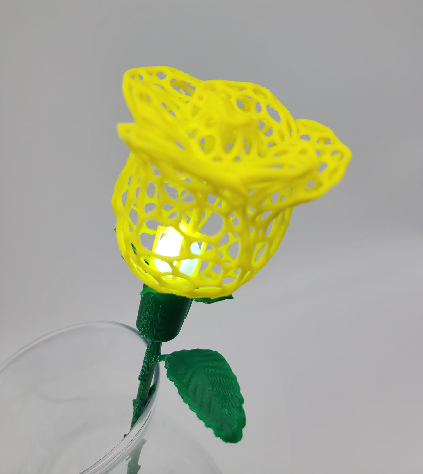 Rose, Intricate Illuminated