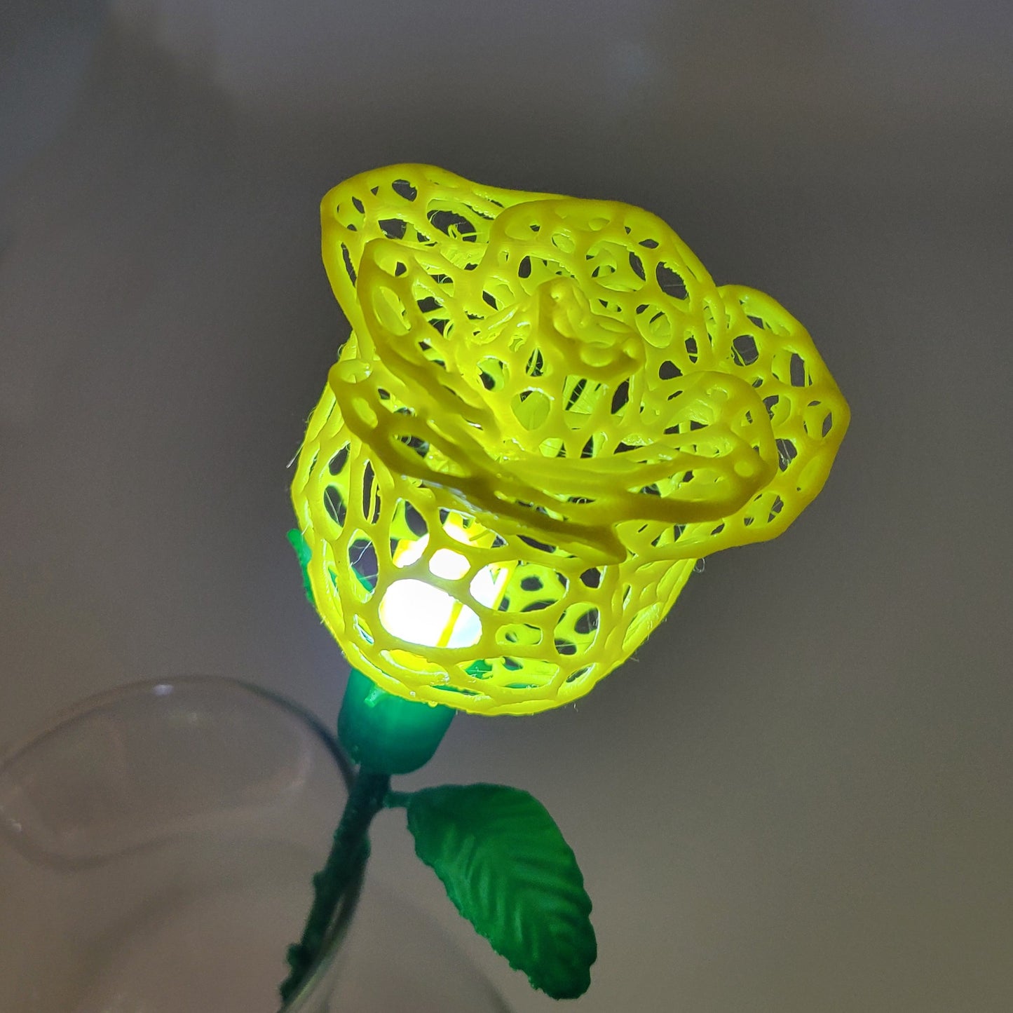 Rose, Intricate Illuminated