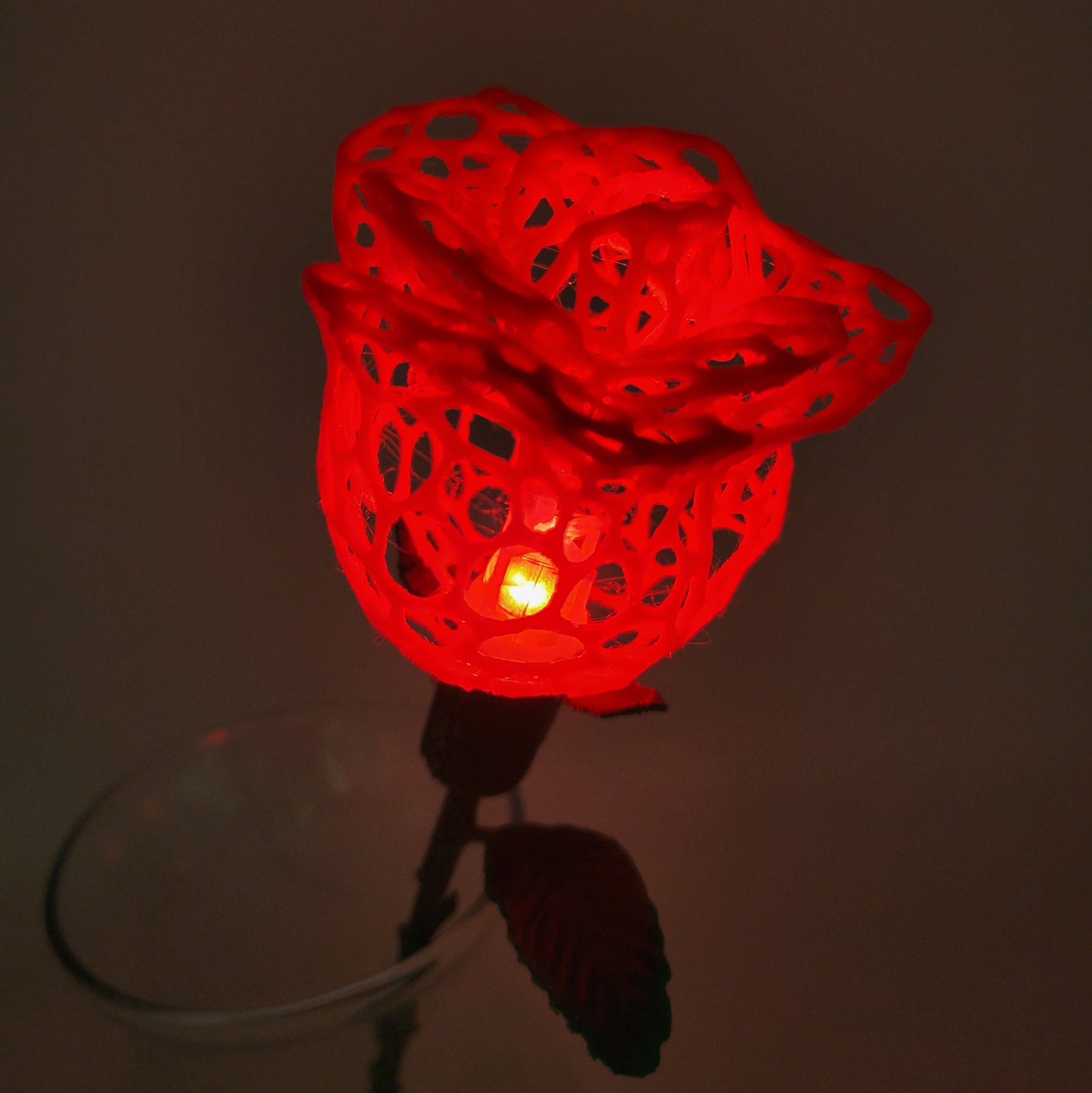Rose, Intricate Illuminated