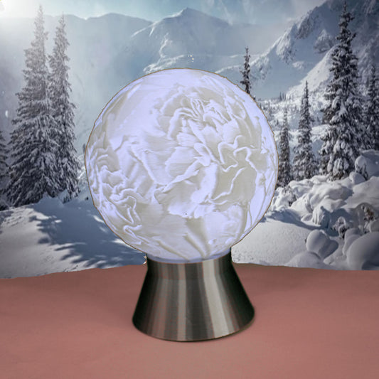 January Birth Month Flower Light Globe- Carnation, Snow Drop