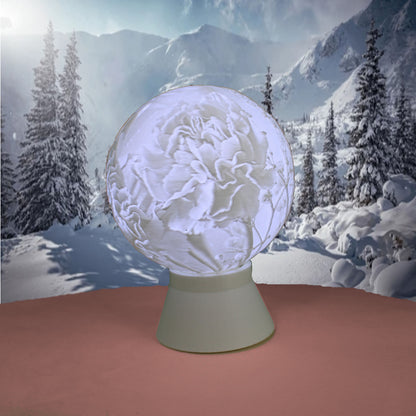 January Birth Month Flower Light Globe- Carnation, Snow Drop
