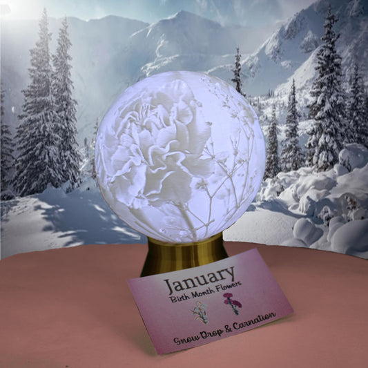 January Birth Month Flower Light Globe- Carnation, Snow Drop