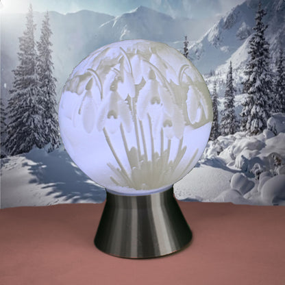 January Birth Month Flower Light Globe- Carnation, Snow Drop