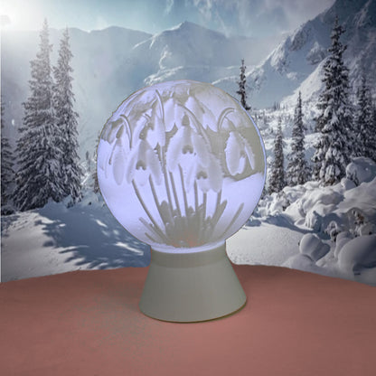 January Birth Month Flower Light Globe- Carnation, Snow Drop