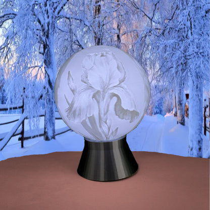 February Birth Month Flower Light Globe- Iris, Violet