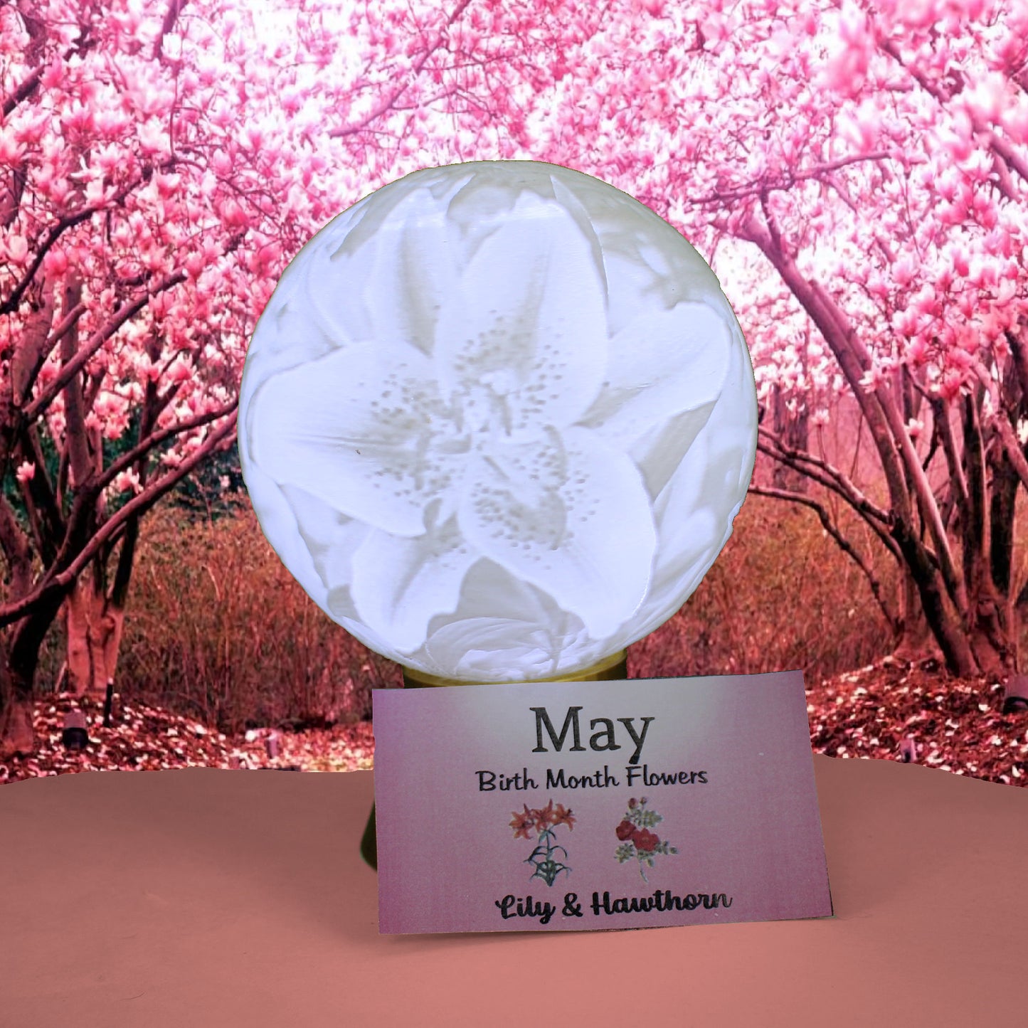 May Birth Month Flower Light Globe - Lily, Hawthorn