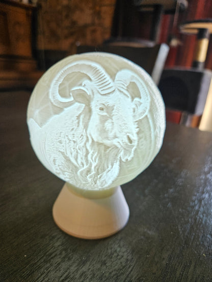 Capricorn Zodiac Light Globe - Dec 23 - Jan 19