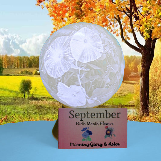 September Birth Month Flower Light Globe - Morning Glory, Aster