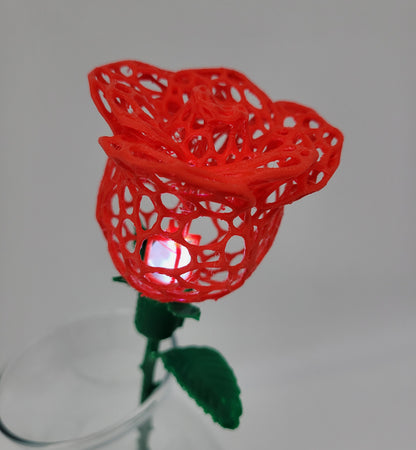 Rose, Intricate Illuminated