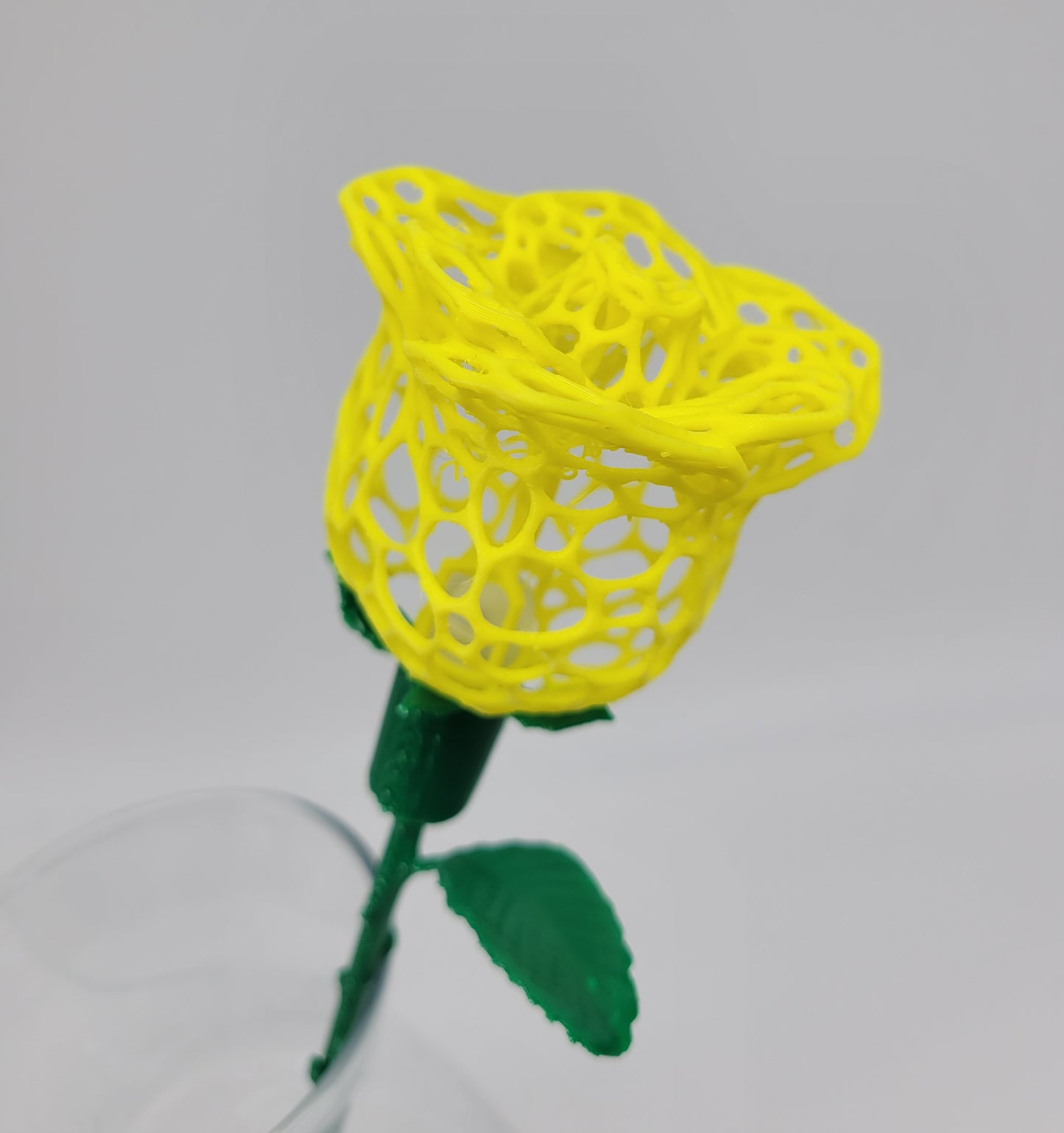 Rose, Intricate Illuminated