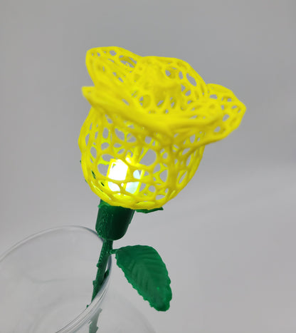 Rose, Intricate Illuminated