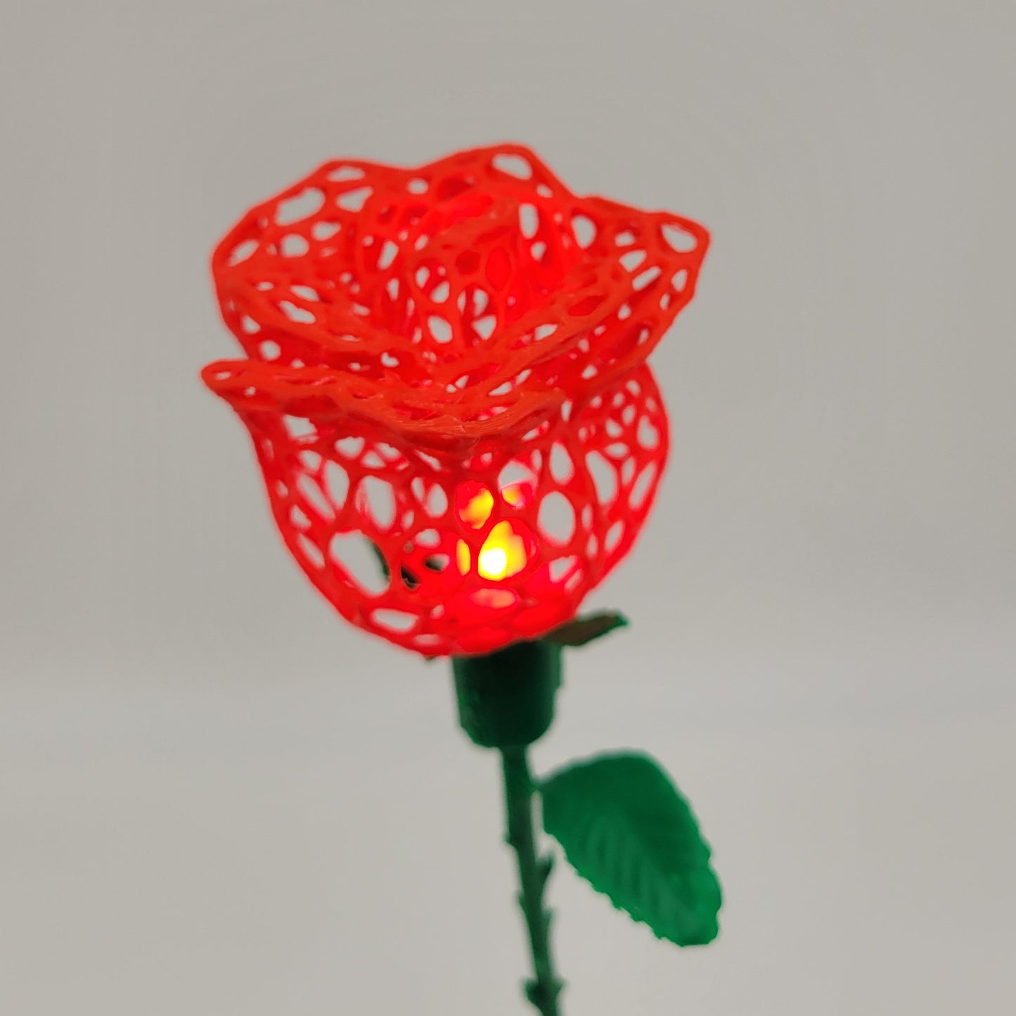 Rose, Intricate Illuminated