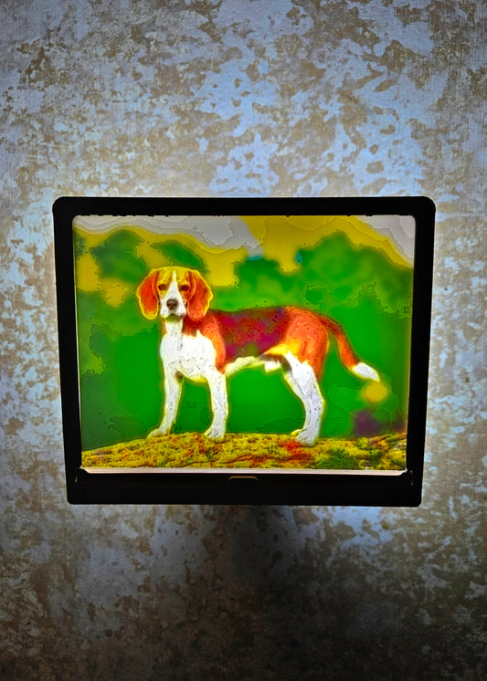 Dog - Beagle - Desktop or Night Light Display
