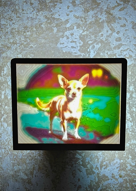 Dog - Chihuahua - Desktop or Night Light Display