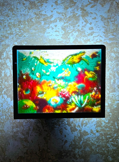 Coral Reef Sea Turtle - Desktop or Night Light Display