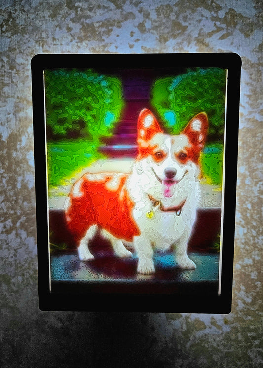 Dog - Corgi - Desktop or Night Light Display