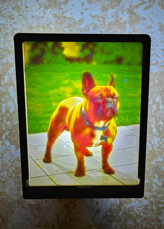 Dog - French Bulldog - Desktop or Night Light Display