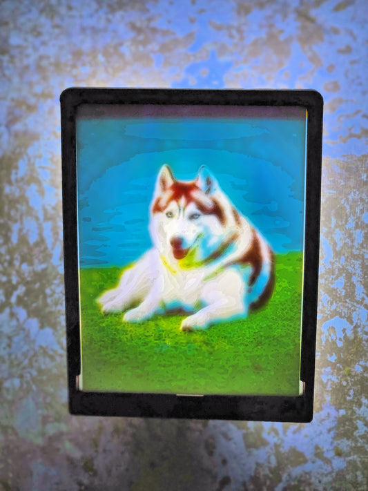 Dog - Husky - Desktop or Night Light Display