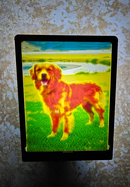 Dog - Golden Retriever - Desktop or Night Light Display